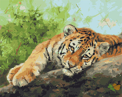 Animal Paint By Numbers Kits UK GX21201