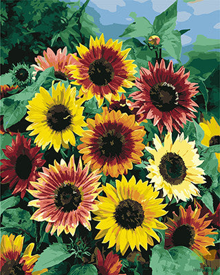 Flower Paint By Numbers Kits UK GX21215