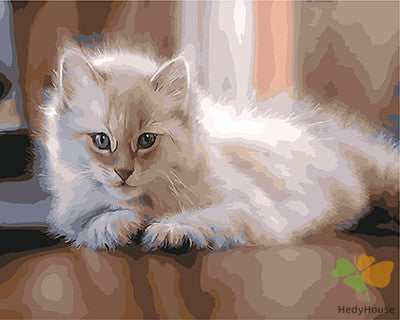 Cat & Dog Paint By Numbers Kits UK GX21256