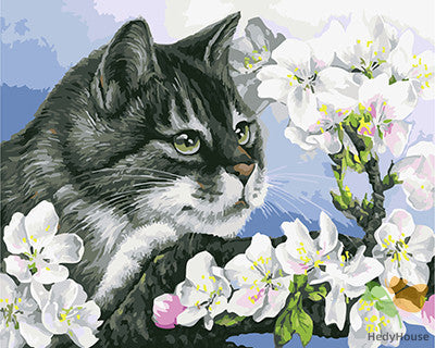 Cat & Dog Paint By Numbers Kits UK GX21296