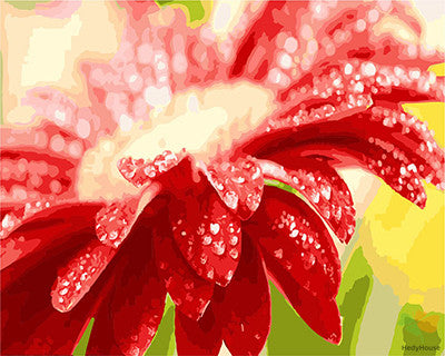 Flower Paint By Numbers Kits UK GX21413