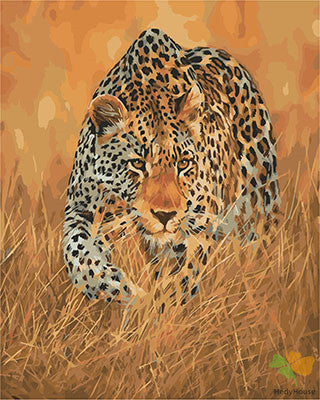 Animal Paint By Numbers Kits UK GX21425