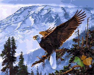 Birds Paint By Numbers Kits UK GX21427