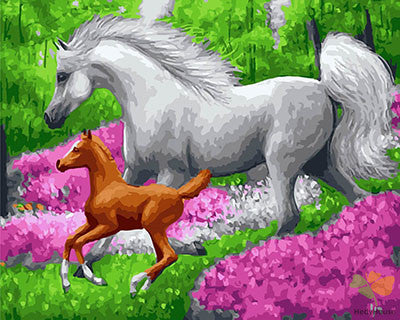 Animal Paint By Numbers Kits UK GX21434