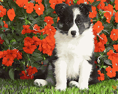 Cat & Dog Paint By Numbers Kits UK GX21447