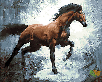 Animal Paint By Numbers Kits UK GX21450