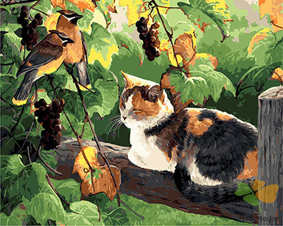 Cat & Dog Paint By Numbers Kits UK GX21465