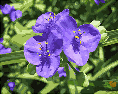 Flower Paint By Numbers Kits UK GX21544