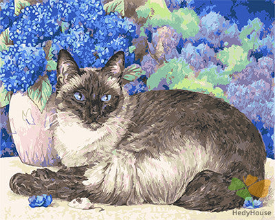 Cat & Dog Paint By Numbers Kits UK GX21551