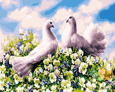 Birds Paint By Numbers Kits UK GX21561