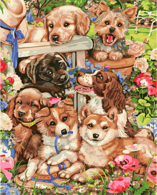 Cat & Dog Paint By Numbers Kits UK GX21567