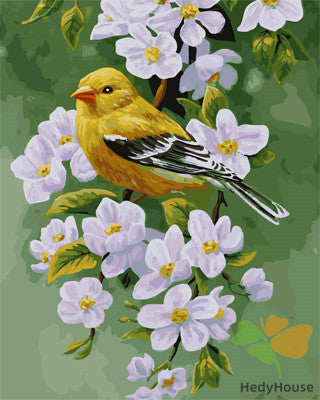 Birds Paint By Numbers Kits UK GX21580