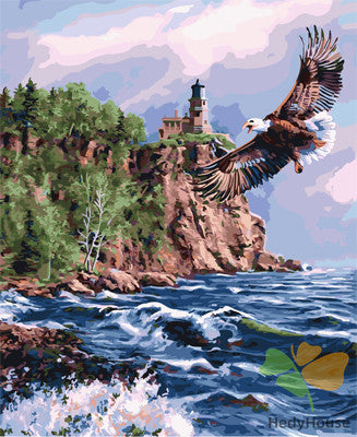 Birds Paint By Numbers Kits UK GX21583