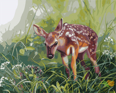 Animal Paint By Numbers Kits UK GX21590