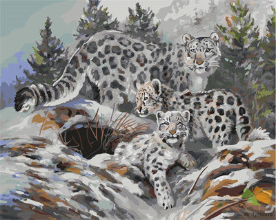 Animal Paint By Numbers Kits UK GX21597