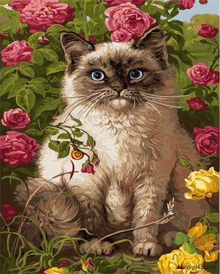 Cat & Dog Paint By Numbers Kits UK GX21599