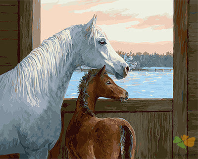 Animal Paint By Numbers Kits UK GX21630