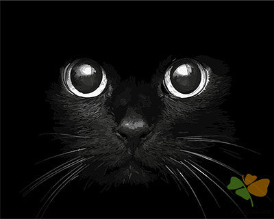 Cat & Dog Paint By Numbers Kits UK GX21655