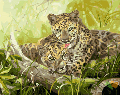 Animal Paint By Numbers Kits UK GX21682