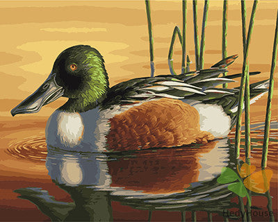 Birds Paint By Numbers Kits UK GX21705