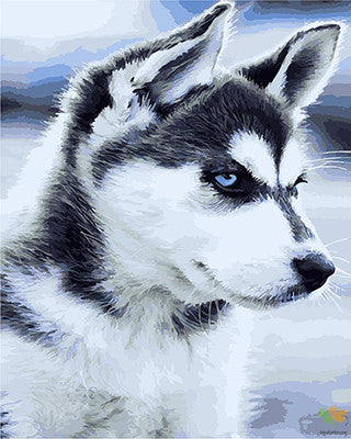 Cat & Dog Paint By Numbers Kits UK GX21714