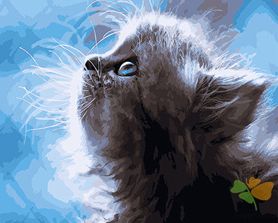 Cat & Dog Paint By Numbers Kits UK GX21729