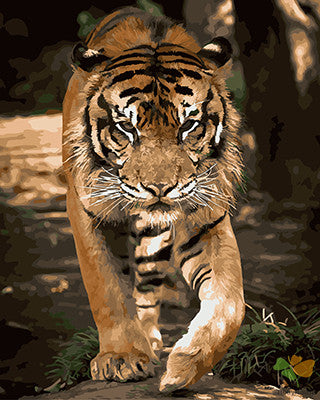 Animal Paint By Numbers Kits UK GX21730