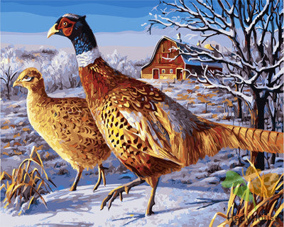 Birds Paint By Numbers Kits UK GX21736