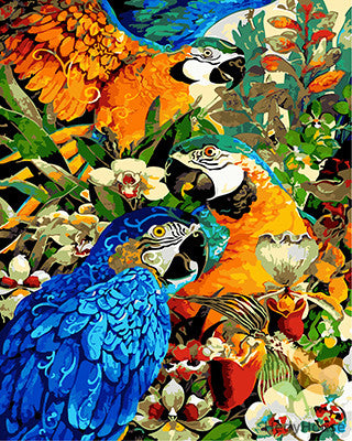 Birds Paint By Numbers Kits UK GX21739