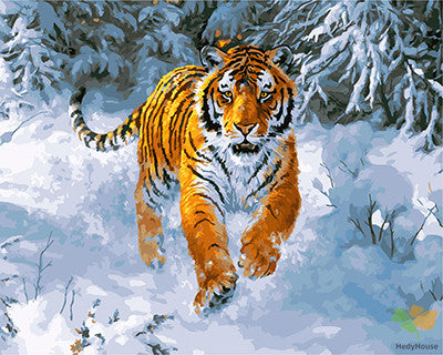 Animal Paint By Numbers Kits UK GX21757