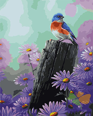 Birds Paint By Numbers Kits UK GX21835