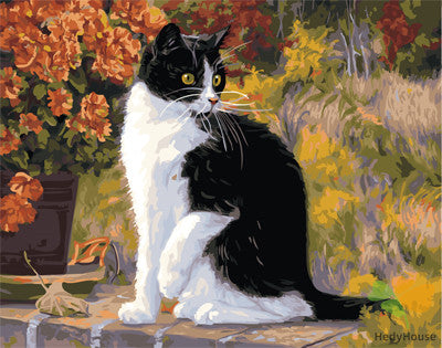 Cat & Dog Paint By Numbers Kits UK GX21870