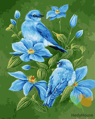 Birds Paint By Numbers Kits UK GX21917