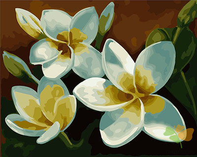 Flower Paint By Numbers Kits UK GX21930