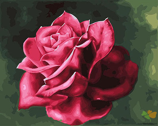 Flower Paint By Numbers Kits UK GX21931