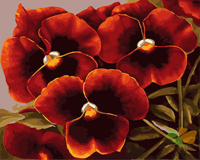 Flower Paint By Numbers Kits UK GX21932