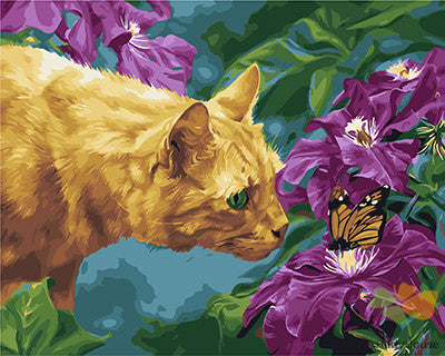 Cat & Dog Paint By Numbers Kits UK GX22009