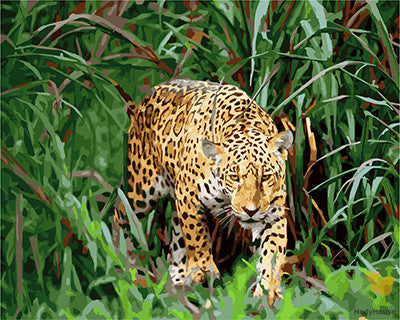 Animal Paint By Numbers Kits UK GX22038