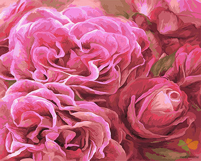 Flower Paint By Numbers Kits UK GX22043