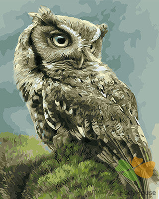 Birds Paint By Numbers Kits UK GX22110