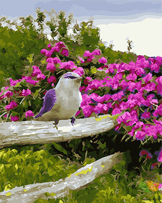 Flower Paint By Numbers Kits UK GX22134