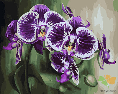 Flower Paint By Numbers Kits UK GX22162