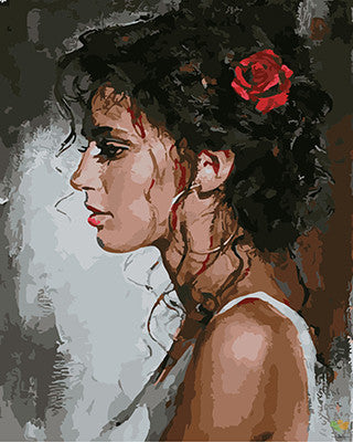 Colorful Paint By Numbers Kits UK GX22187