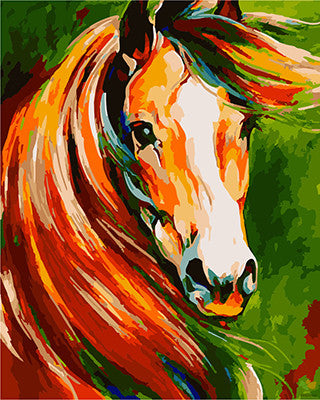 Colorful Paint By Numbers Kits UK GX22215