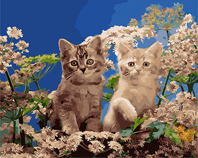 Cat & Dog Paint By Numbers Kits UK GX22220