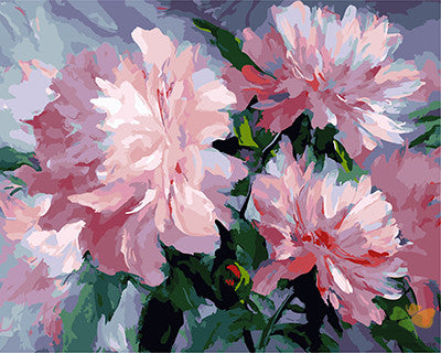 Flower Paint By Numbers Kits UK GX22229