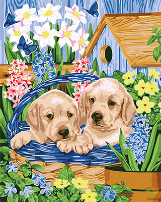 Cat & Dog Paint By Numbers Kits UK GX22280