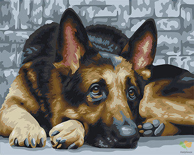 Cat & Dog Paint By Numbers Kits UK GX22302