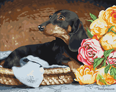 Cat & Dog Paint By Numbers Kits UK GX22304