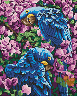 Birds Paint By Numbers Kits UK GX22309